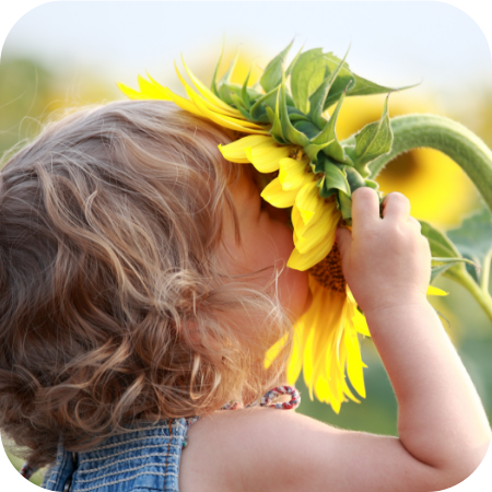 child smelling a sunflower